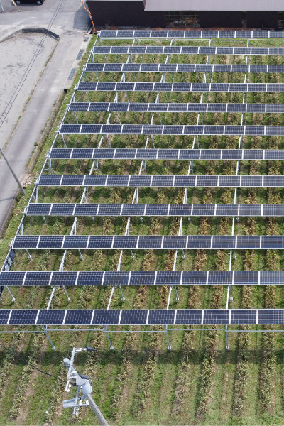 solarshare
